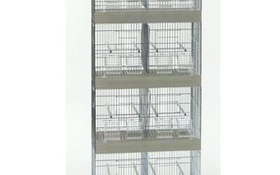 CAGE « Tour Cova 50 »