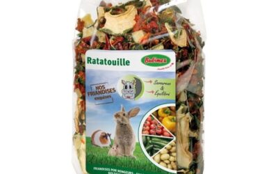 RATATOUILLE