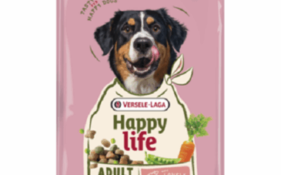 ADULT – Toutes Races – Agneau