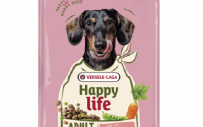 ADULT – Mini – Agneau