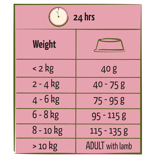 ADULT - Mini - Agneau – Image 2