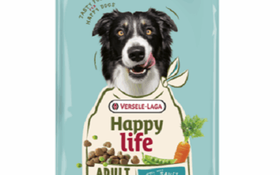 ADULT – Toutes Races – Saumon