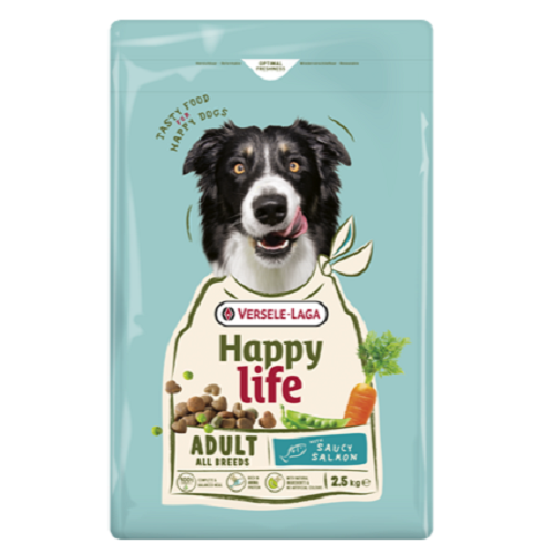 ADULT - Toutes Races - Saumon