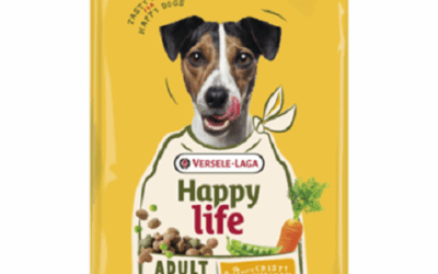 ADULT – Mini – Poulet