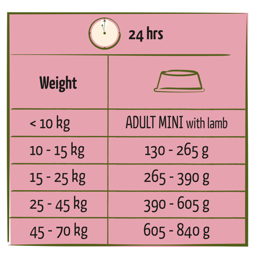 ADULT - Toutes Races - Agneau – Image 3