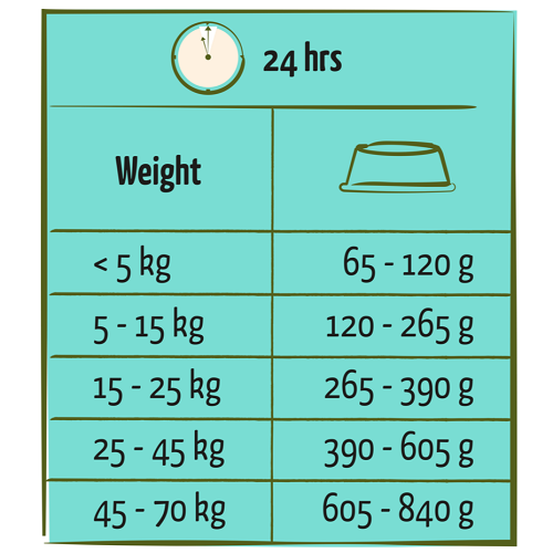 ADULT - Toutes Races - Saumon – Image 3