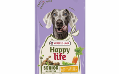 SENIOR – Toutes Races – Poulet