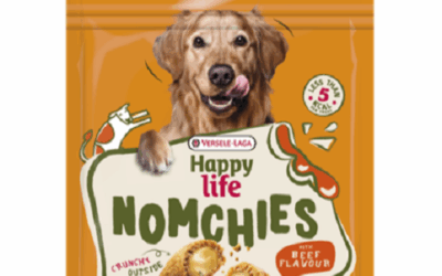 NOMCHIES au Bœuf