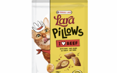 LARA Pillows Bœuf