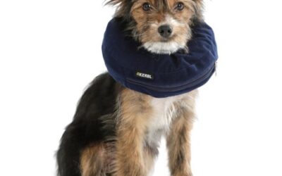 COLLERETTE Gonflable