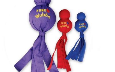 KONG Wubba